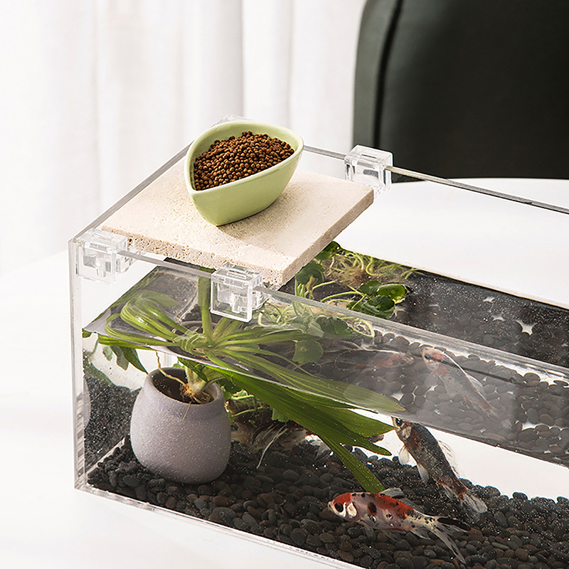 4PCS Acrylic Fish Tank Cover H – Aquarium Fish Real recenzja i cena