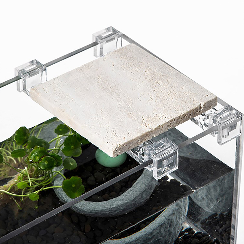 4PCS Acrylic Fish Tank Cover H – Aquarium Fish Real recenzja i cena