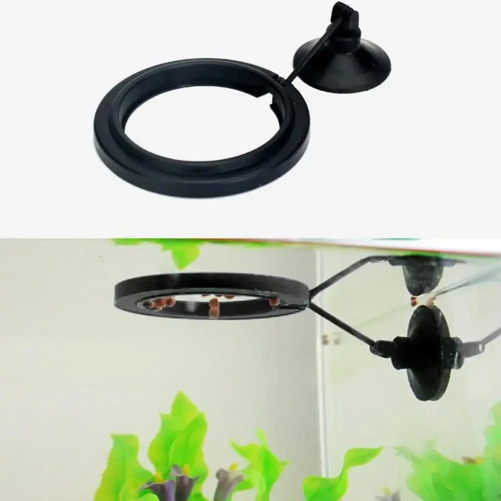 Feed Suction Cup Aquarium Feed – Aquarium Fish Real recenzja i cena
