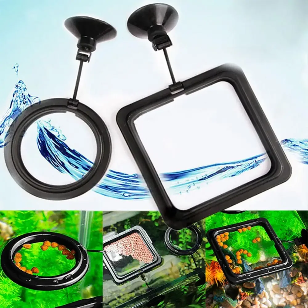 Feed Suction Cup Aquarium Feed – Aquarium Fish Real recenzja i cena