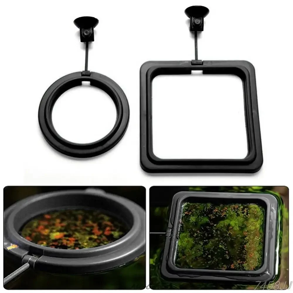 Feed Suction Cup Aquarium Feed – Aquarium Fish Real recenzja i cena