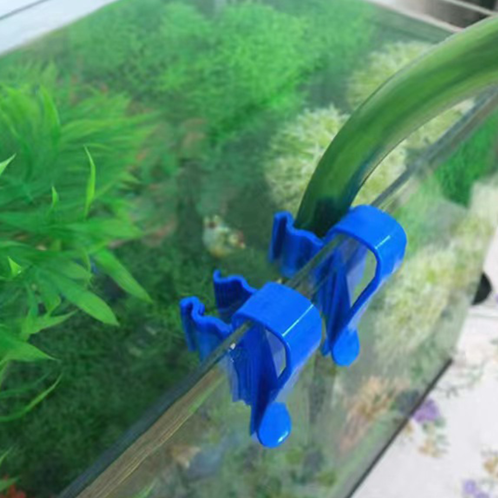 Aquarium Tube Holder Clip Fish – Aquarium Fish Youtube recenzja i cena