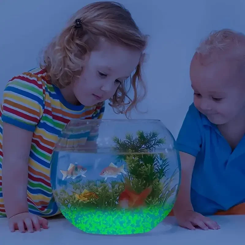 1000pcs 3-5mm Luminous Sand Gl – Aquarium Fish Real recenzja i cena