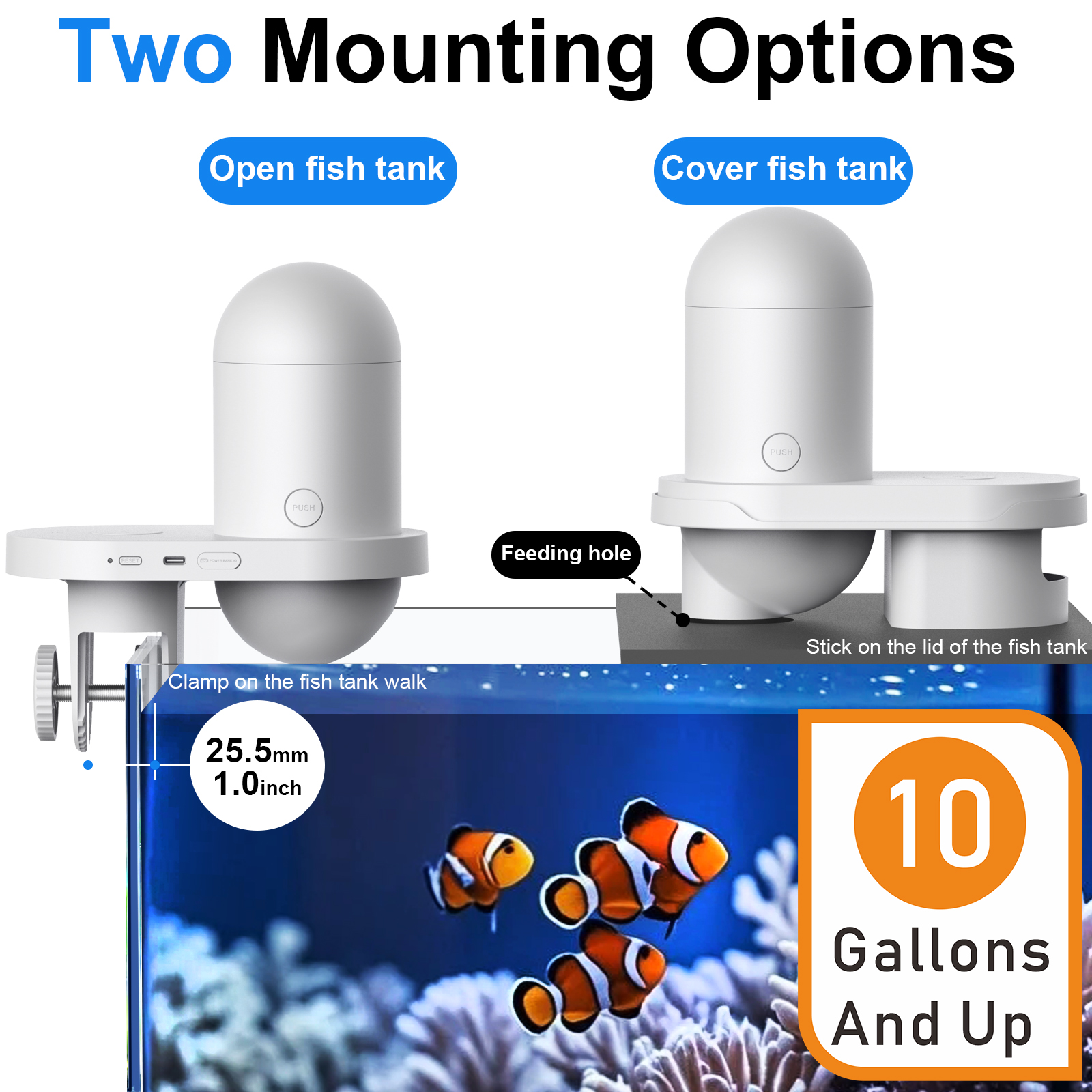 Automatic Fish Feeder With Cam – Aquarium Fish Feeder Automatic recenzja i cena