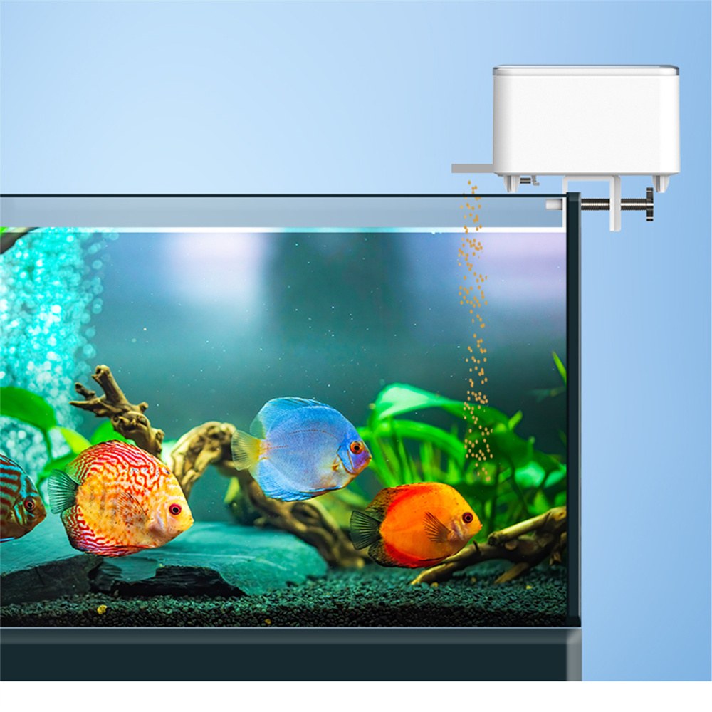 WiFi Smart Automatic Feeder Aq – Aquarium Fish Feeder Automatic recenzja i cena