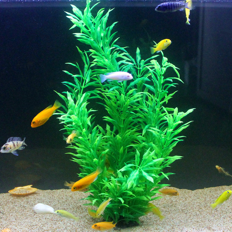 50CM Artificial Fish Tank Rare – Aquarium Fish Real recenzja i cena