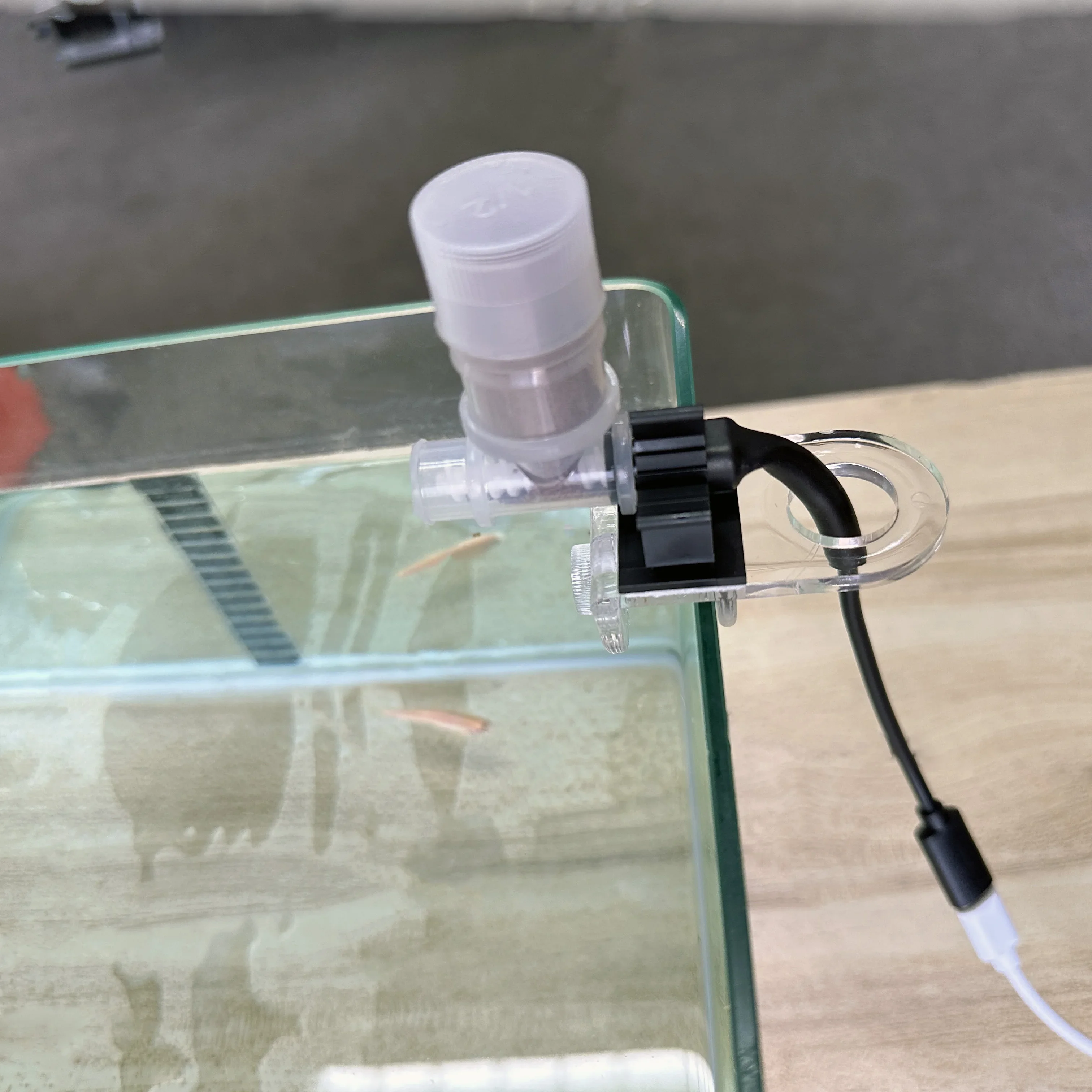 Best Automatic Fish Feeder - W – Aquarium Fish Feeder Automatic recenzja i cena