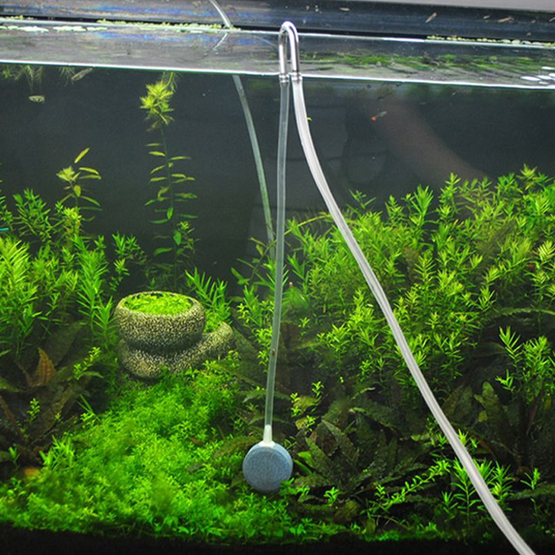 Aquarium CO2 regulator diffuse – Aquarium Fish Youtube recenzja i cena