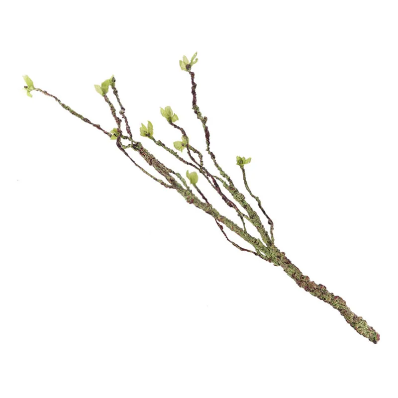 Vines Decor Climbing Branches  – Aquarium Fish Real recenzja i cena
