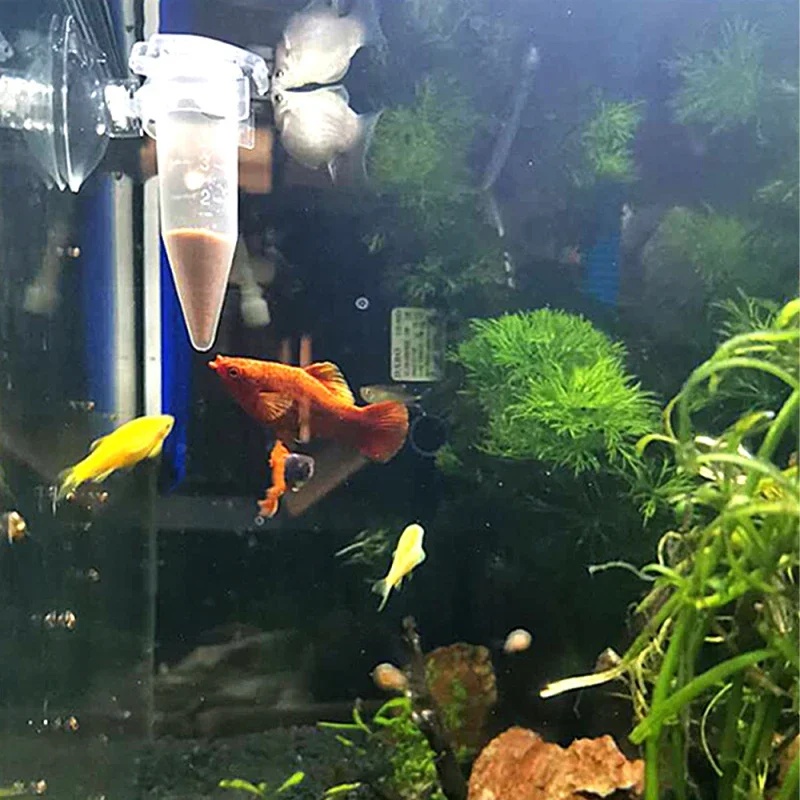 Automatic Fish Feeder Cone Shr – Aquarium Fish Feeder Automatic recenzja i cena